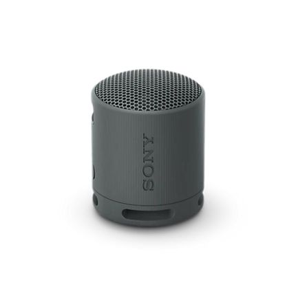 Sony SRS-XB100