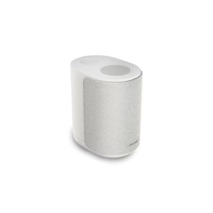 Bose Lifestyle Ultra Speaker