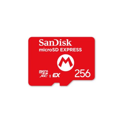 Sandisk MicroSDTM Express Card for NS2 - 256GB